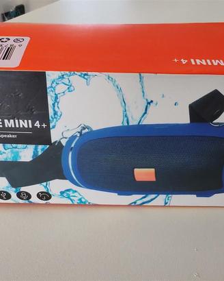 Cassa portatile wireless
