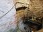Immagine 23