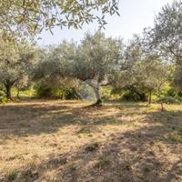 TER. AGRICOLO A SAN POLO DEI CAVALIERI