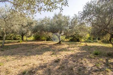 TER. AGRICOLO A SAN POLO DEI CAVALIERI