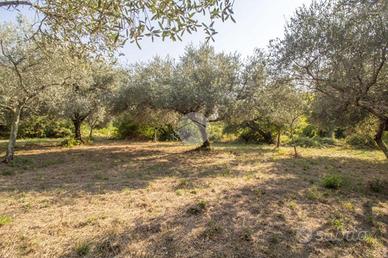TER. AGRICOLO A SAN POLO DEI CAVALIERI