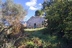 Rif.3650RC49175| rustico mazzarino