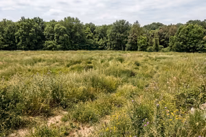 Terreno Agricolo 3.300 mq Attrezzato di Tutto