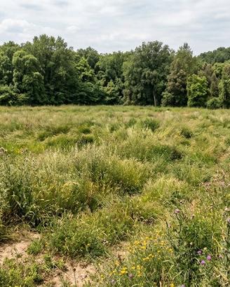 Terreno Agricolo 3.300 mq Attrezzato di Tutto