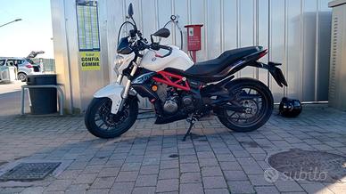 Benelli BN 302 - 2016