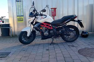 Benelli BN 302 - 2016