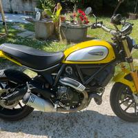 Ducati Scrambler 800 ICON Neopatentati km. 12.300