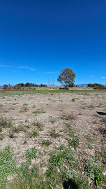 Vendita terreno agricolo
