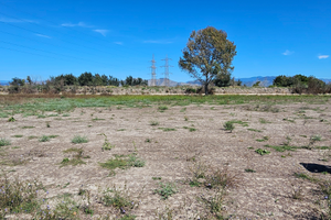 Vendita terreno agricolo