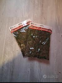 erba finta per presepe