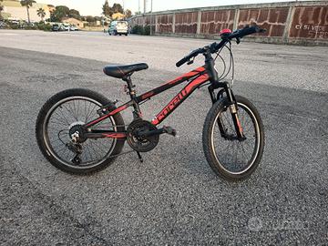 Bicicletta