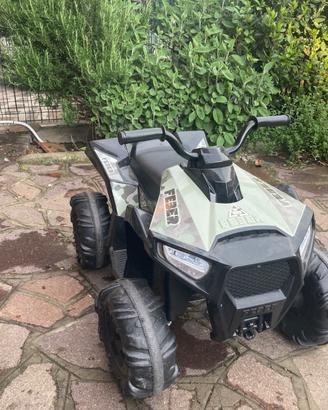 Quad feber elettrico