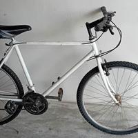 bicicletta mtb