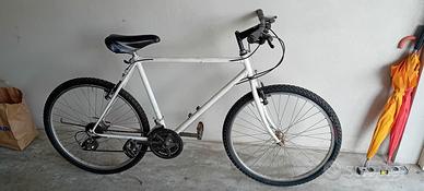 bicicletta mtb