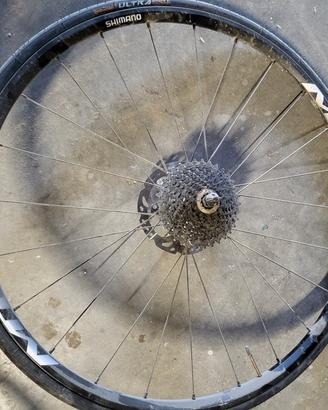 cerchi per mtb