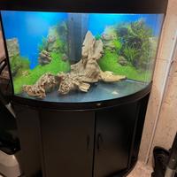 ACQUARIO JUWEL 190 lt + mobile.