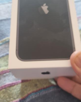 apple11 