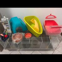 gabbia coniglio più accessori