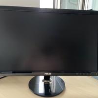 Monitor Asus 24 pollici