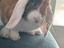 Immagine 1