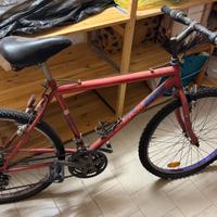 Bici MTB 26” USA MTB – da revisionare / riparare