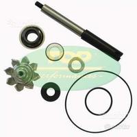 Kit revisione pompa acqua Honda Silverwing 400 600