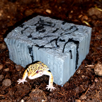 Tana grotta nascondiglio, spedisco