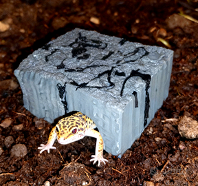 Tana grotta nascondiglio, spedisco