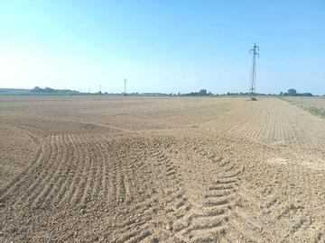 Terreno di 33000 m² a San Donà di Piave