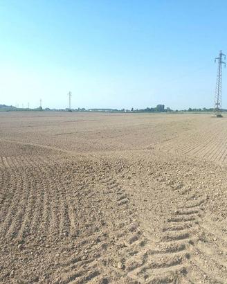 Terreno di 33000 m² a San Donà di Piave