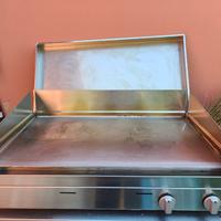 Barbecue piastra airone