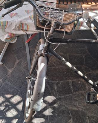 bicicletta da uomo 