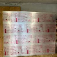 Pannello Policarbonato alveolare LEXAN THERMOCLEAR