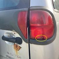 FANALINO POST. DESTRO TERRANO II R20 2001