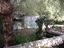 Immagine 24