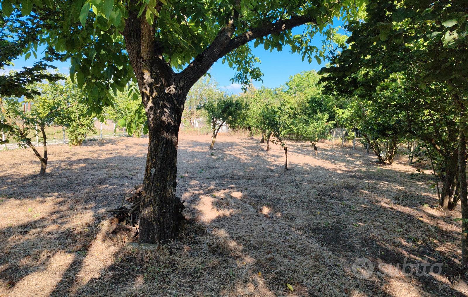 Terreno agricolo - Vista 6