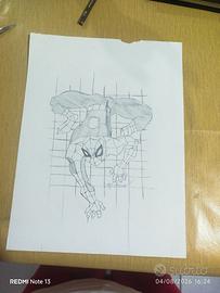 disegno 