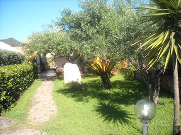 Casa estate 2026 SAN TEODORO