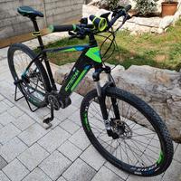 Biciclette elettriche