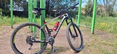 Bici Olympia 29