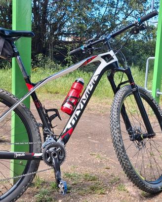 Bici Olympia 29