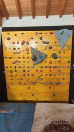 pannello arrampicata