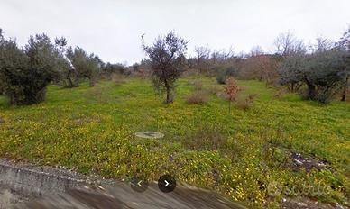 ATENA LUCANA - terreno AGRICOLO