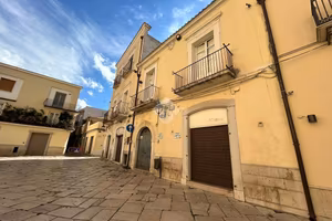ATTIVITÀ A SAN SEVERO
