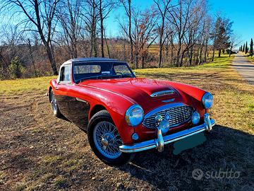 Austin Healey 100 - 1959