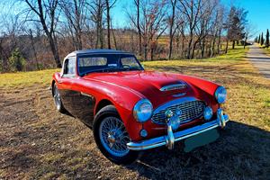 Austin Healey 100 - 1959
