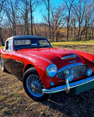Austin Healey 100 - 1959