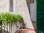 Immagine 12