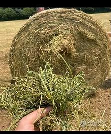 ERBA MEDICA secca in balloni