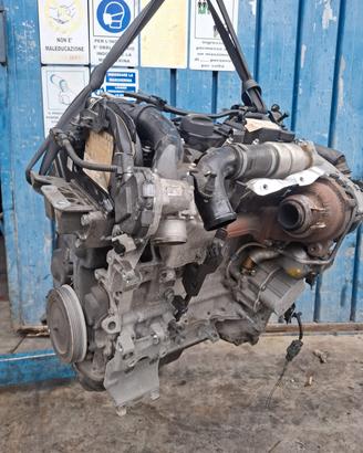 MOTORE PEUGEOT / CITROEN/ FORD 1.6 8v (usato)